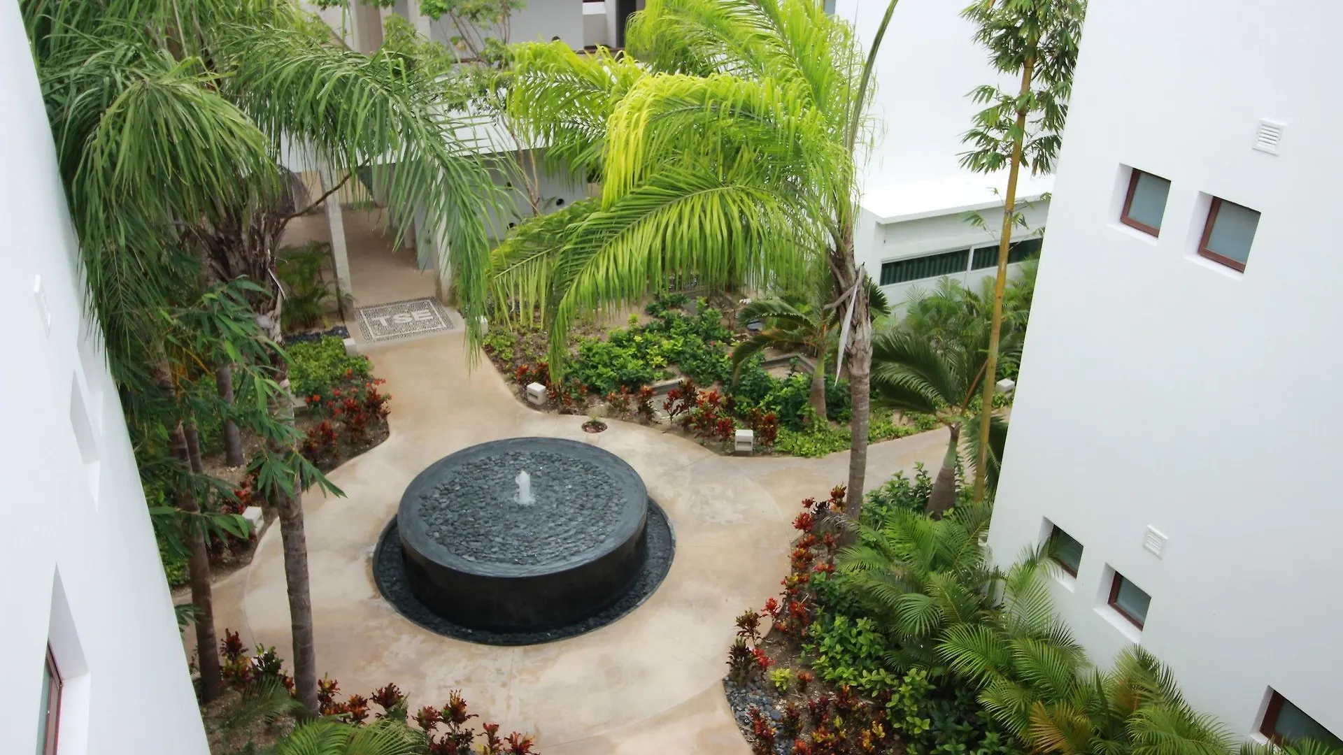 Wellness Center Penthouse By Olahola Apartment Akumal